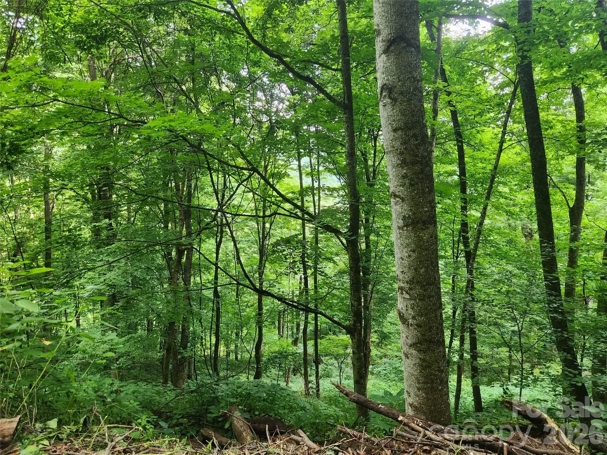 0000 Jacks Knob Road, Weaverville, NC 28787 - #1