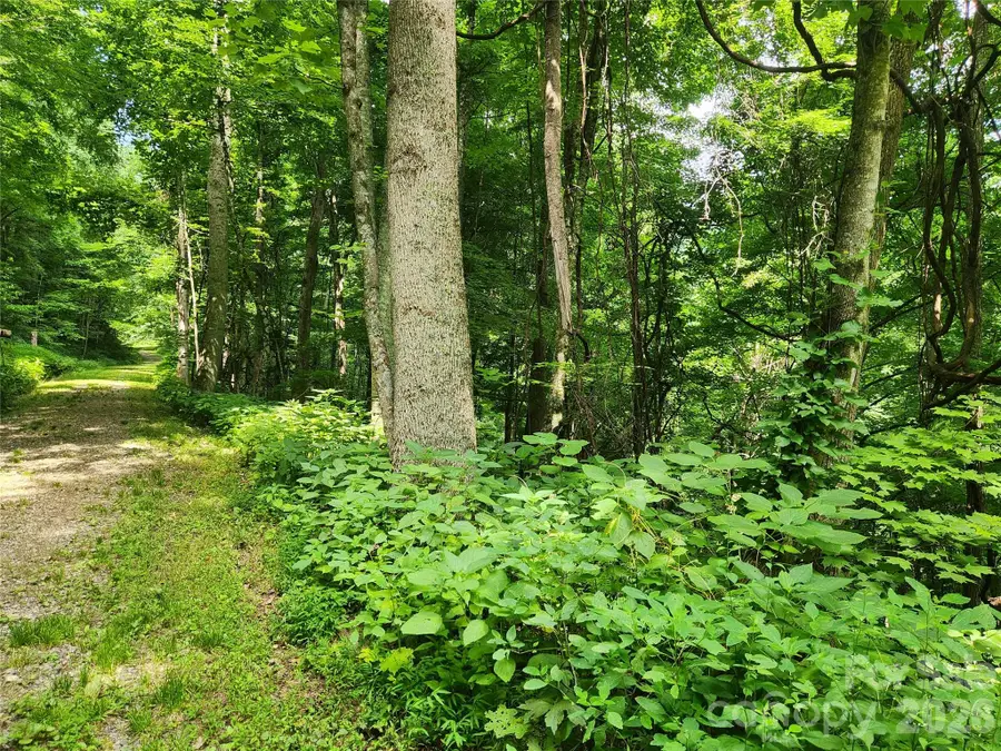0000 Jacks Knob Road, Weaverville, NC 28787 - #2