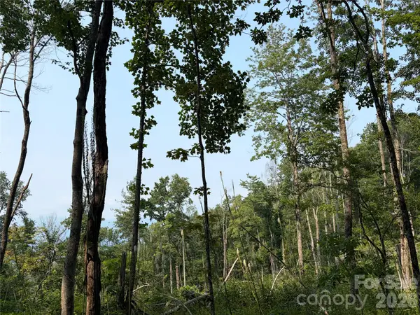 000 Catbrier Lane, Burnsville, NC 28714