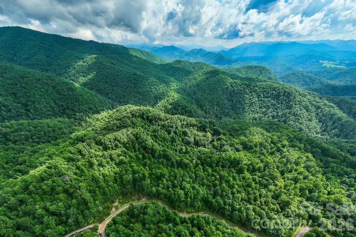 565 Pine Cone Trail, Marshall, NC 28753 - #1