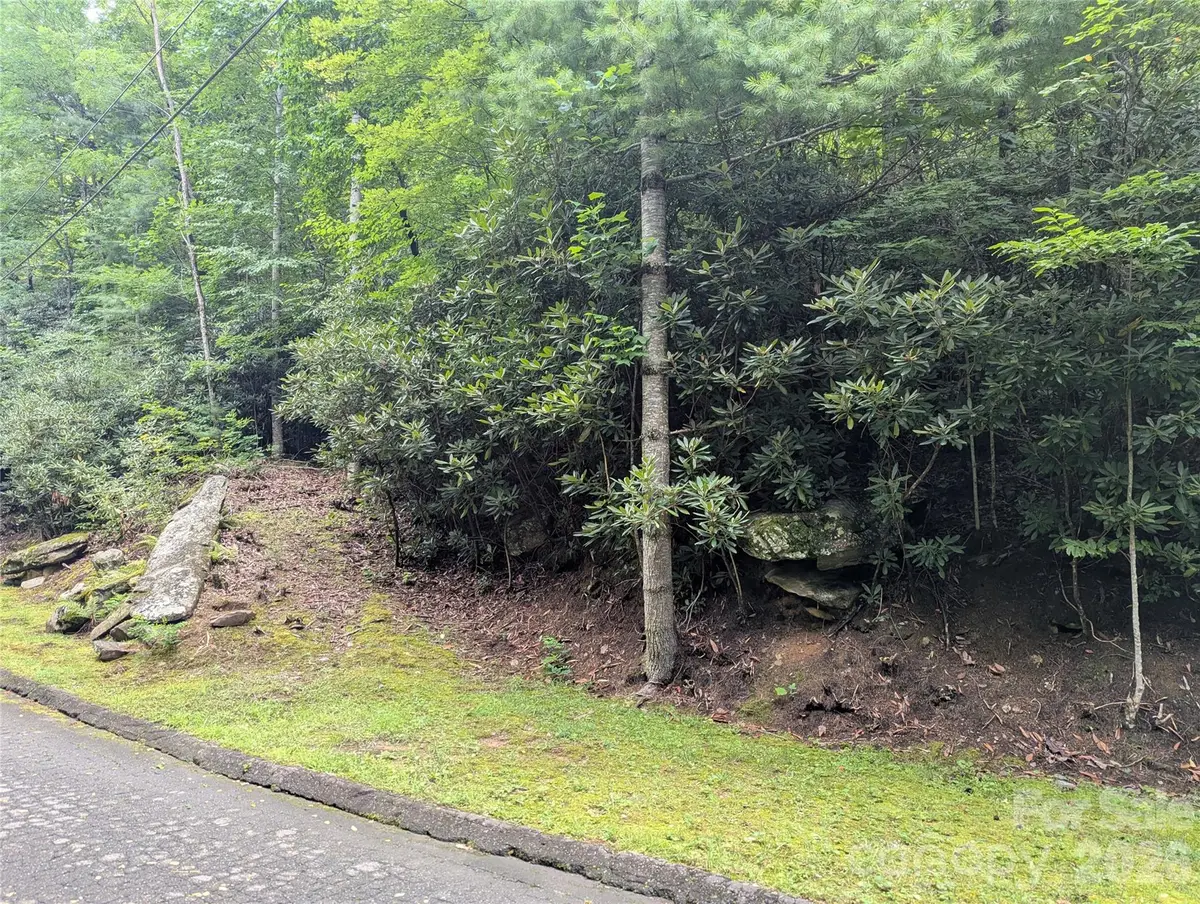 99999 Maryland Place #1426, Montreat, NC 28757 - #1