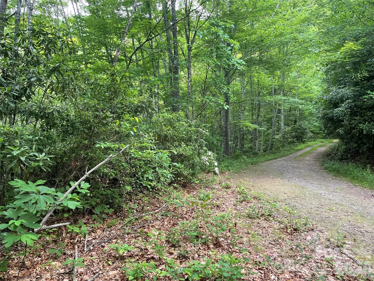 Lt 279 Cabin Flats Road #279, Balsam, NC 28707 - #1