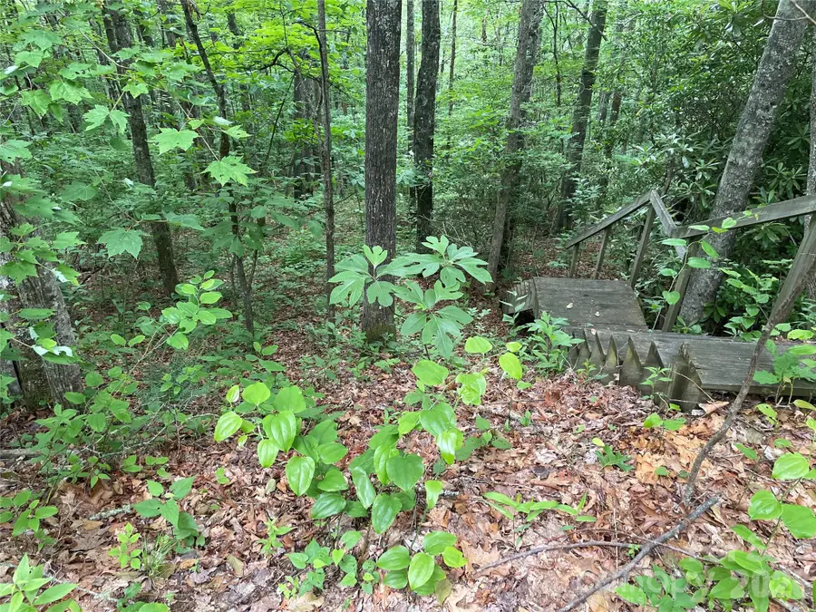 Lt 279 Cabin Flats Road #279, Balsam, NC 28707 - #3