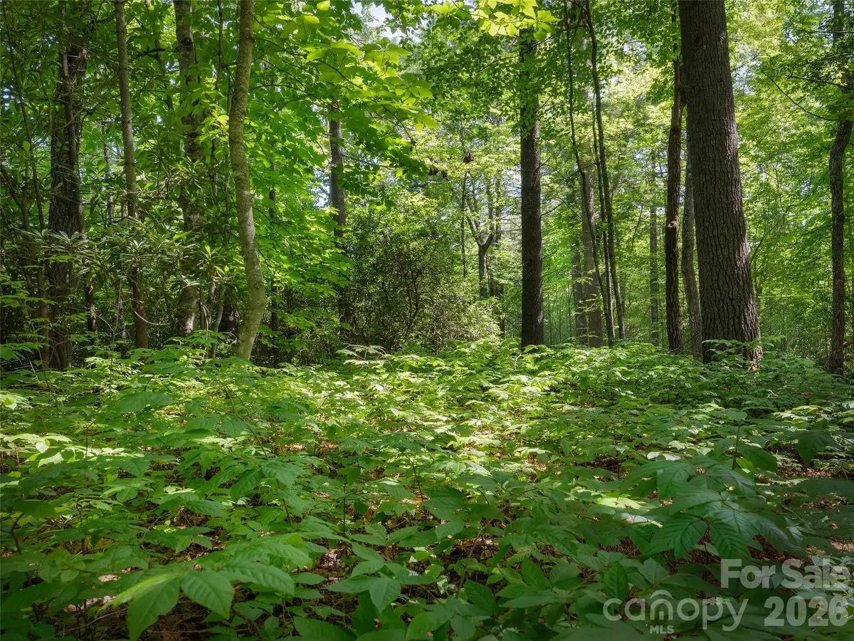 Lot 161 Eagle Lake Drive, Brevard, NC 28712 - #1
