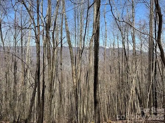 140 Boar Ridge Road, Sylva, NC 28779 - #2