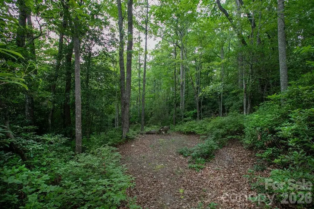 Lot 28 Big Hill Road #28, Brevard, NC 28712 - #1