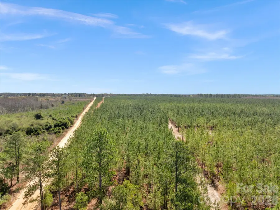 931 Charlie Johnson Road #3, Kershaw, SC 29067 - #2