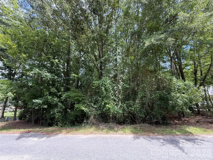 TBD1 Highland Woods Drive, Wadesboro, NC 28170 - #2