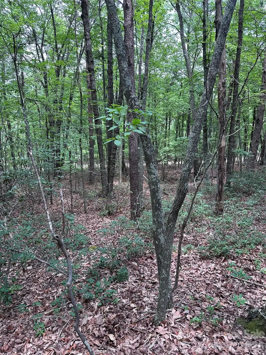 1070 Elm Street, Danbury, NC 27016 - #3