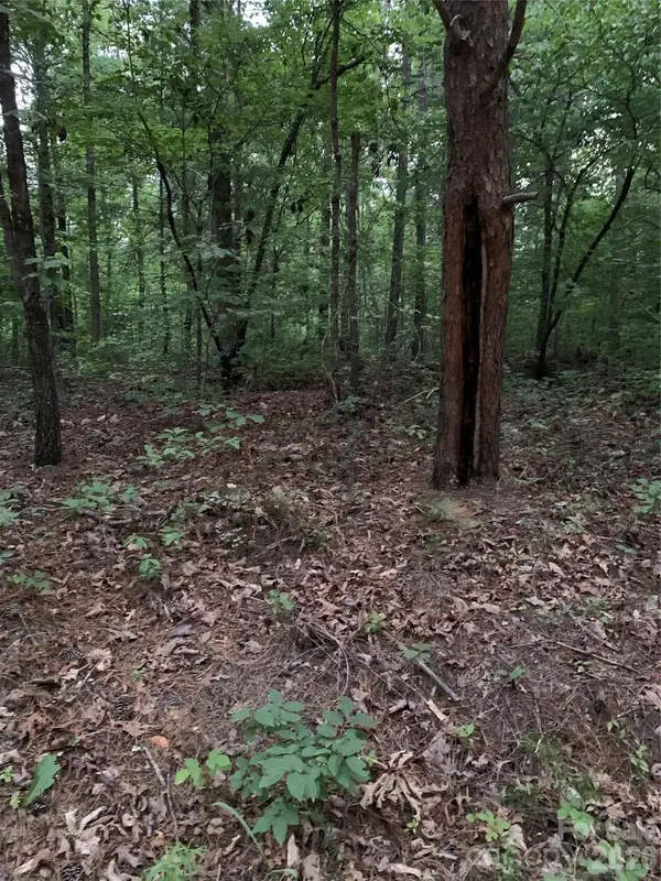 0 Ore Bank Road, Smyrna, SC 29743