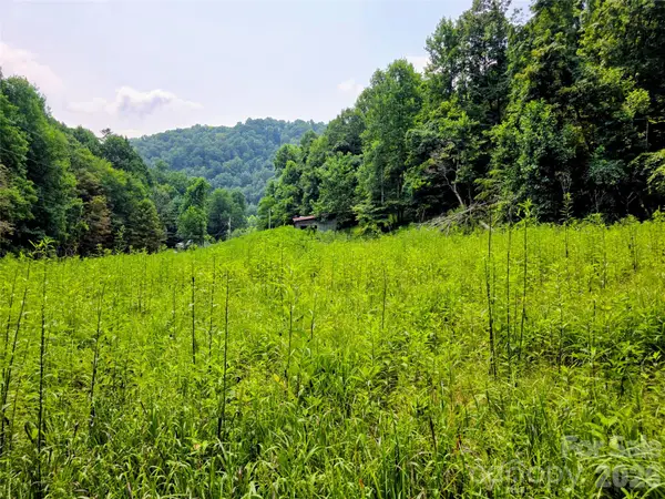 98 Will Wilson Road, Burnsville, NC 28714