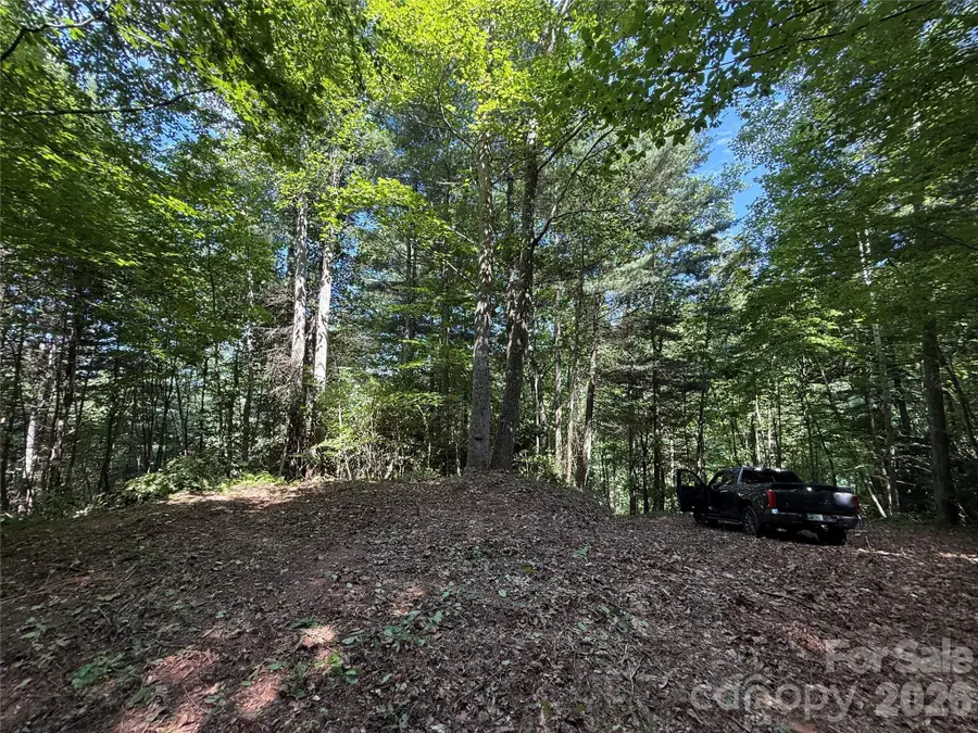 99999 Walking Horse Trail, Candler, NC 28715 - #2