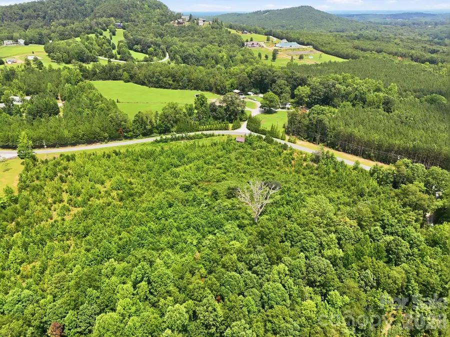 1522 Little Mountain Road, Columbus, NC 28722 - #3