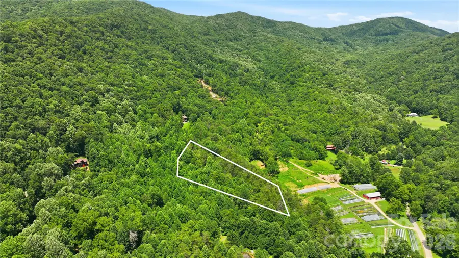 00 E Buffalo Road #13, Robbinsville, NC 28771 - #3