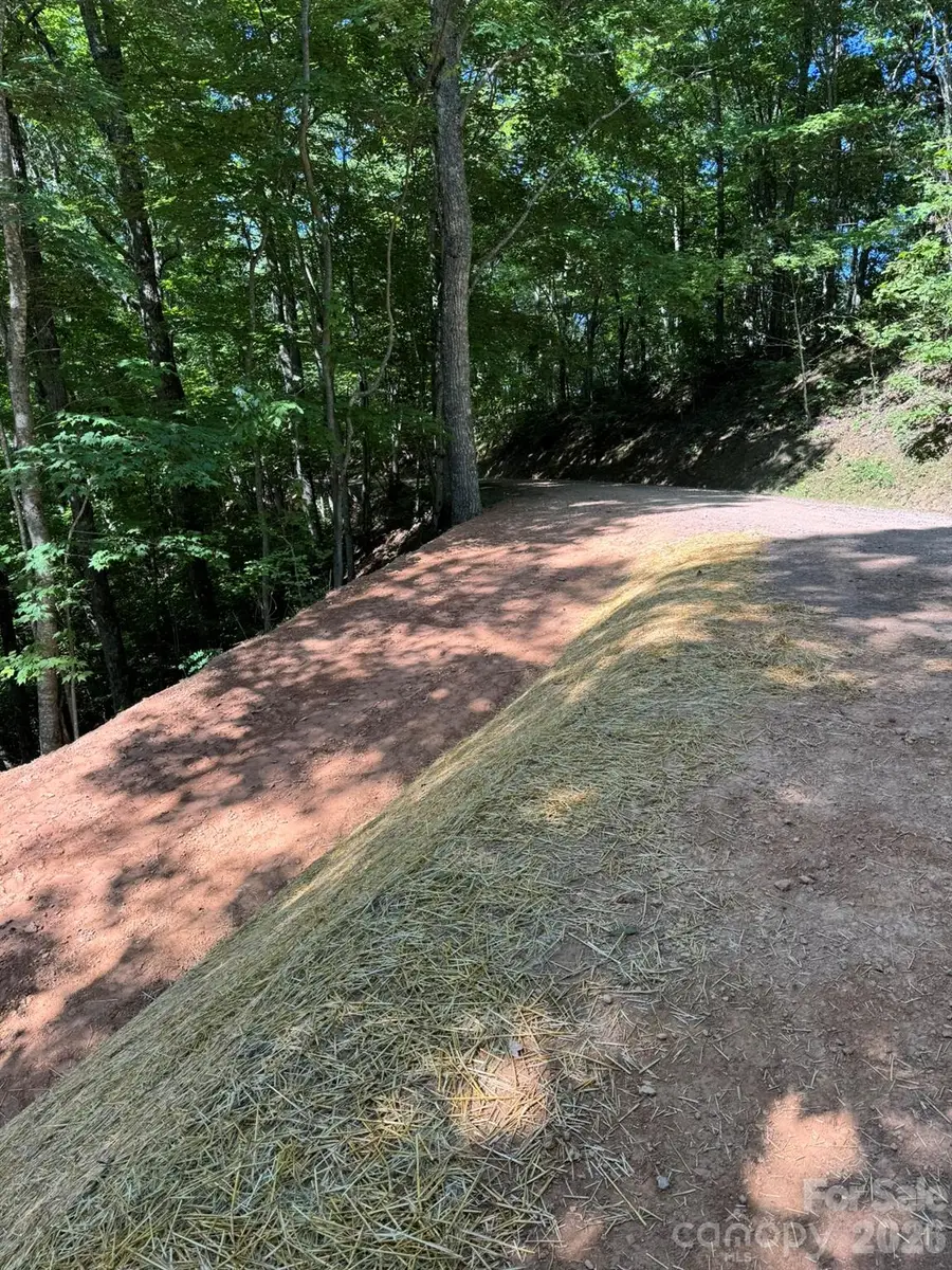 97 Hosta Drive, Sylva, NC 28779 - #2
