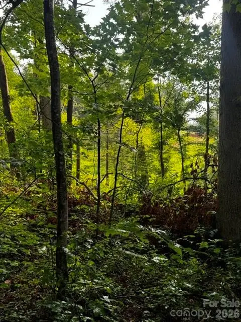 00000 Monticello Road, Weaverville, NC 28787 - #3