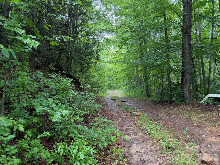 Off Donald Mccall Road, Balsam Grove, NC 28708 - #2