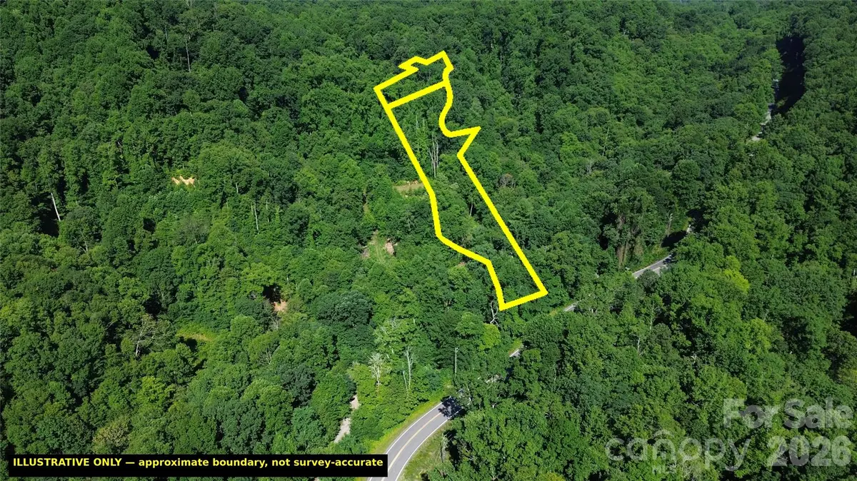 99999 Morgan Hill Road, Black Mountain, NC 28711 - #1