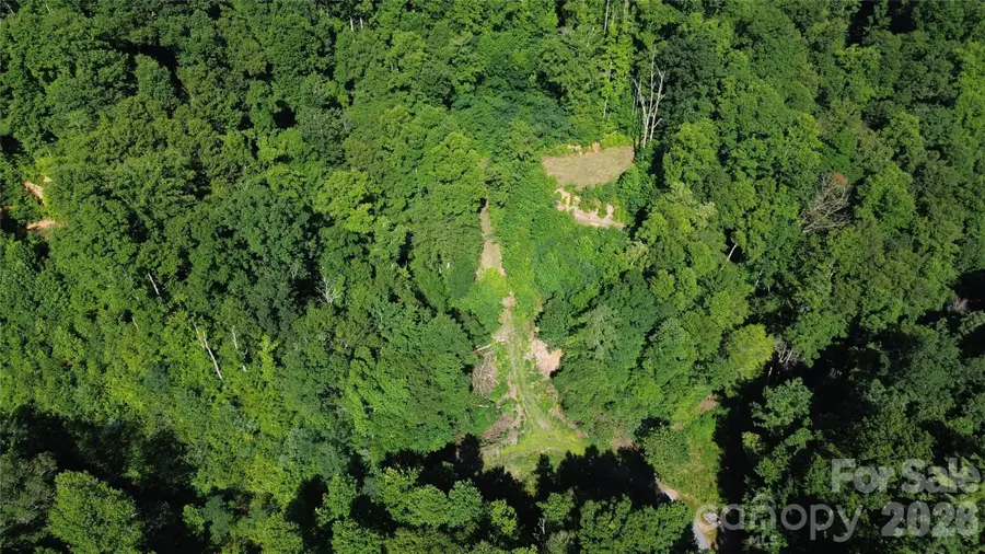 99999 Morgan Hill Road, Black Mountain, NC 28711 - #3