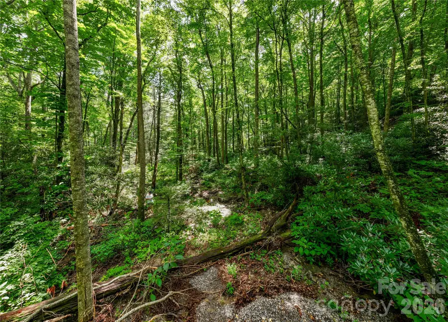 6 Great Aspen Way #123, Black Mountain, NC 28711 - #3