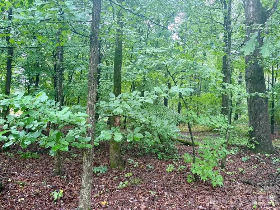 0 Sherrills Ford Road, Sherrills Ford, NC 28673 - #2