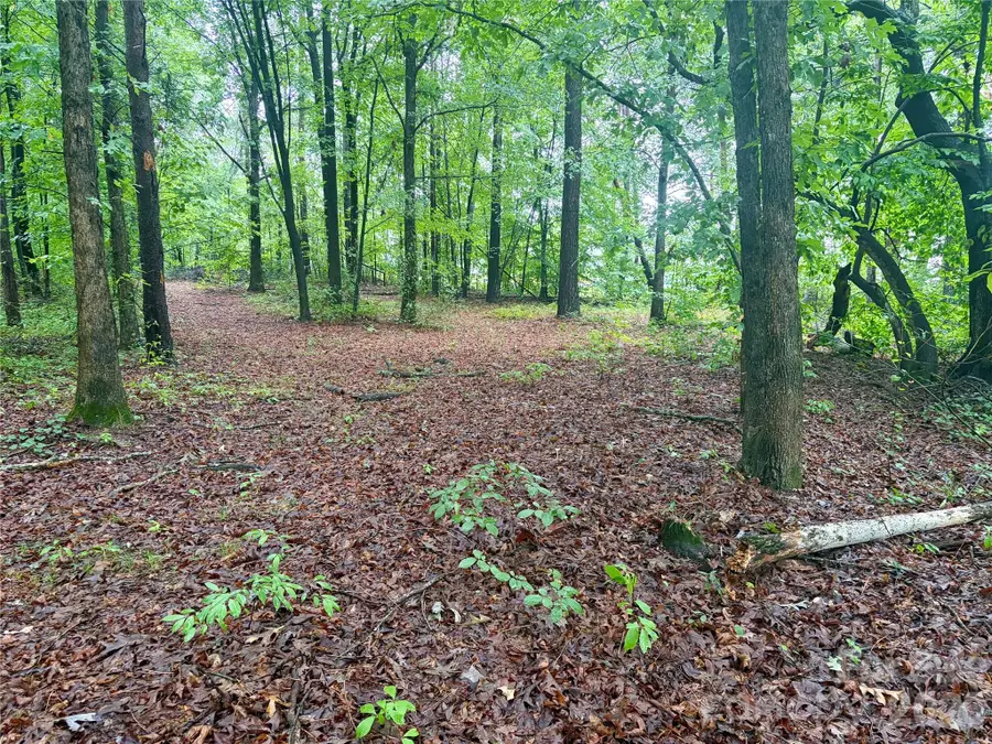 0 Sherrills Ford Road, Sherrills Ford, NC 28673 - #3