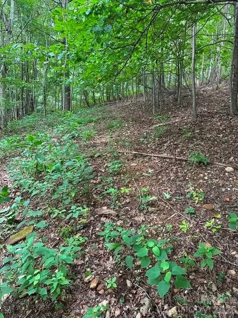 0 Cove Gap Road #1, Moravian Falls, NC 28654 - #2