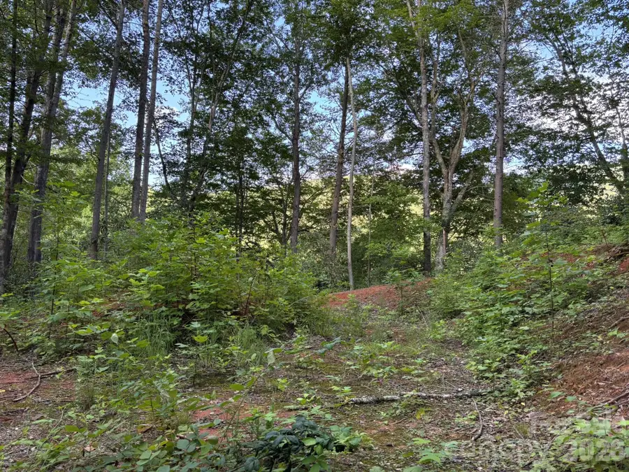 Lot 41 Peace Wood Lane #41, Hendersonville, NC 28792 - #2