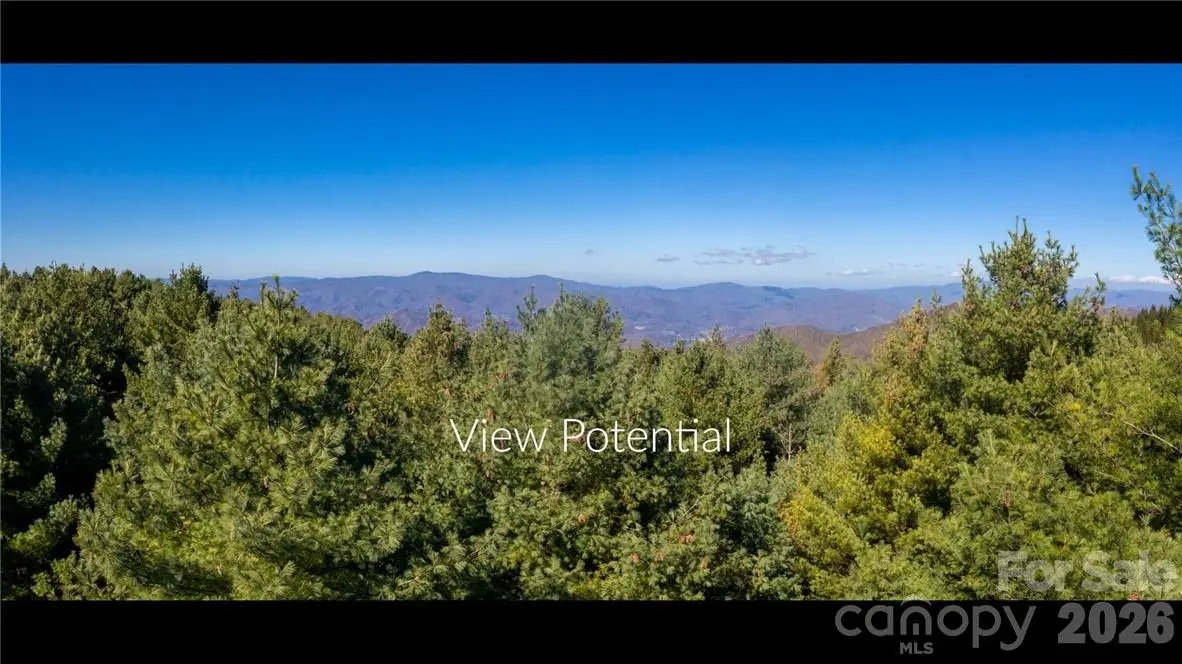 197 Eagle Bald Trail #Lot 34, Burnsville, NC 28714 - #1