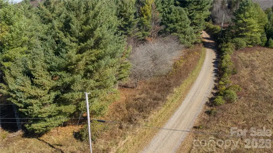 197 Eagle Bald Trail #Lot 34, Burnsville, NC 28714 - #3