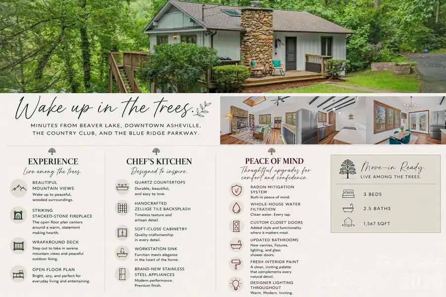 39 Spooks Branch Extension, Asheville, NC 28804 - #2