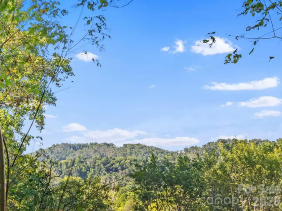 39 Spooks Branch Extension, Asheville, NC 28804 - #3