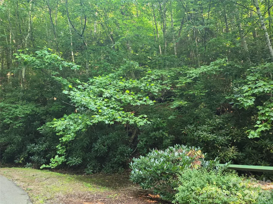 TBD Henry Dingus Way #26, Maggie Valley, NC 28751 - #2
