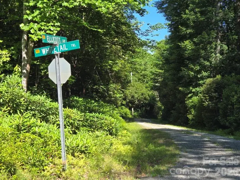 100/101 Ellicott Gap None, Rosman, NC 28772 - #2