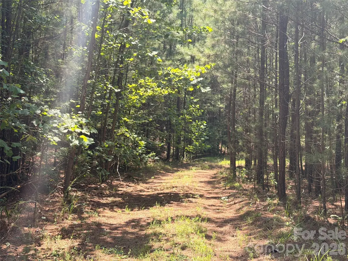 000 Thompson Lake Road, Rutherfordton, NC 28139 - #1