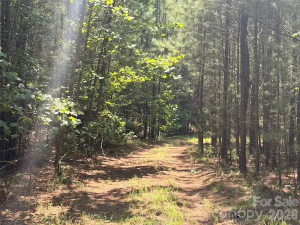 000 Thompson Lake Road, Rutherfordton, NC 28139