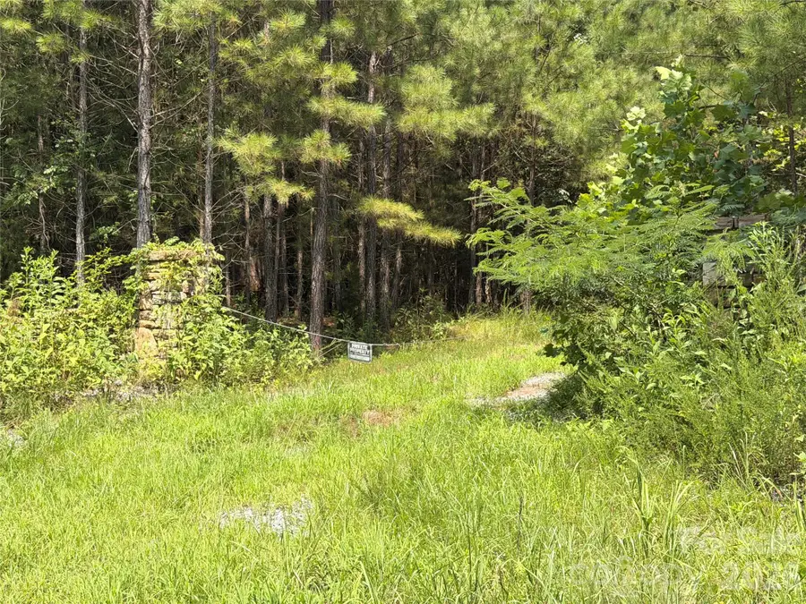 000 Thompson Lake Road, Rutherfordton, NC 28139 - #2