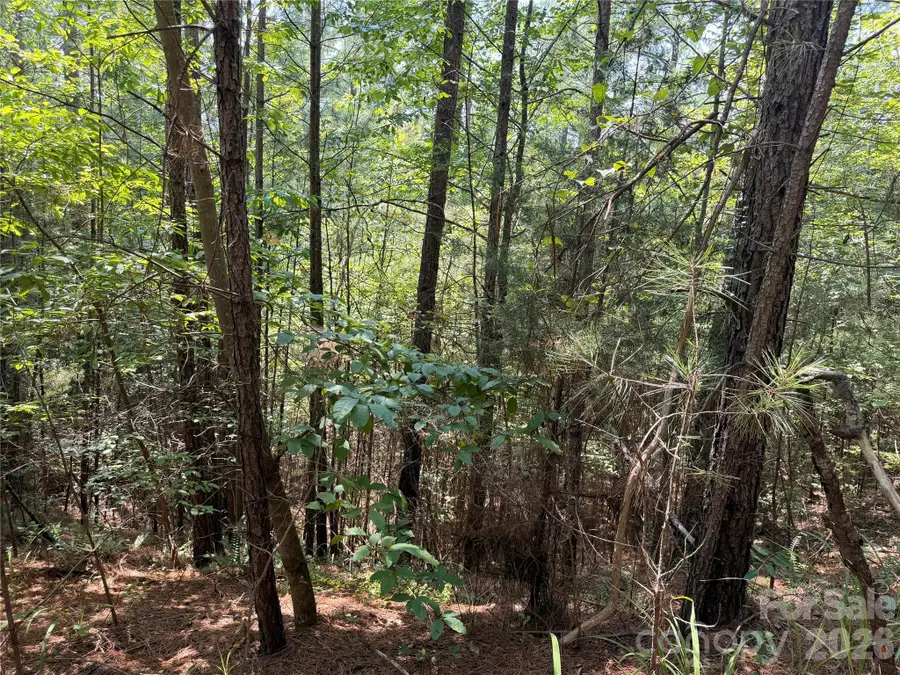 000 Thompson Lake Road, Rutherfordton, NC 28139 - #3