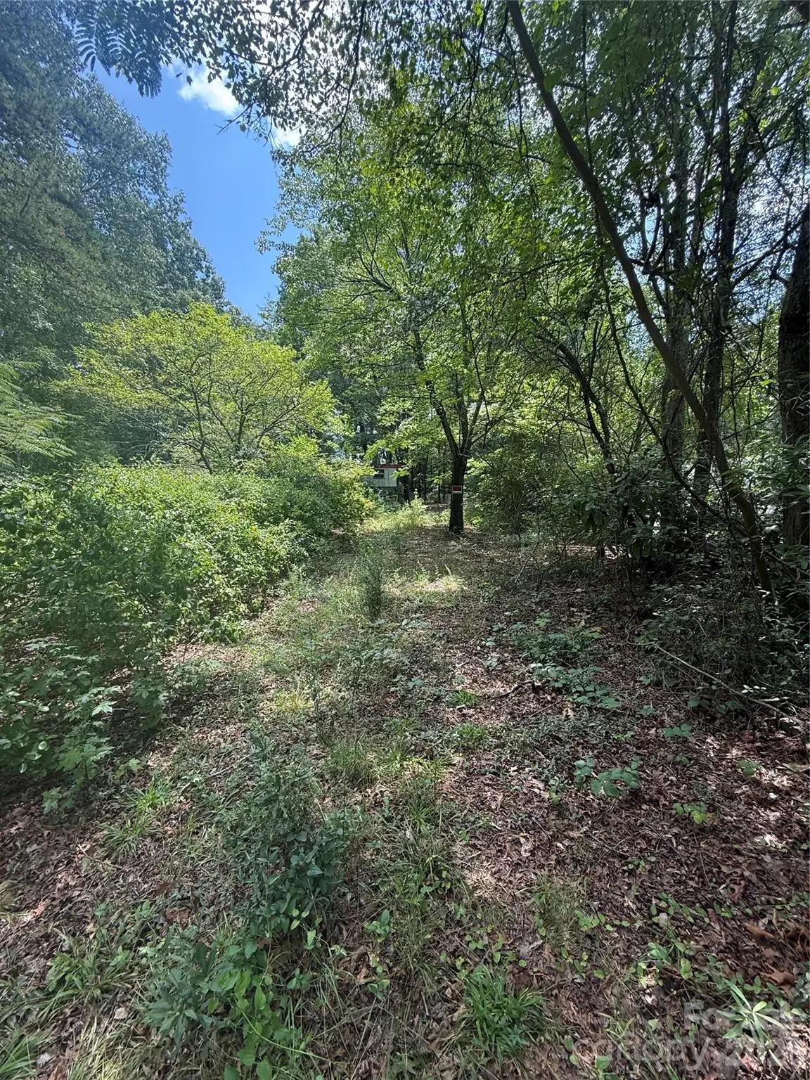 1710 Black Oak Lane, Lincolnton, NC 28092 - #1