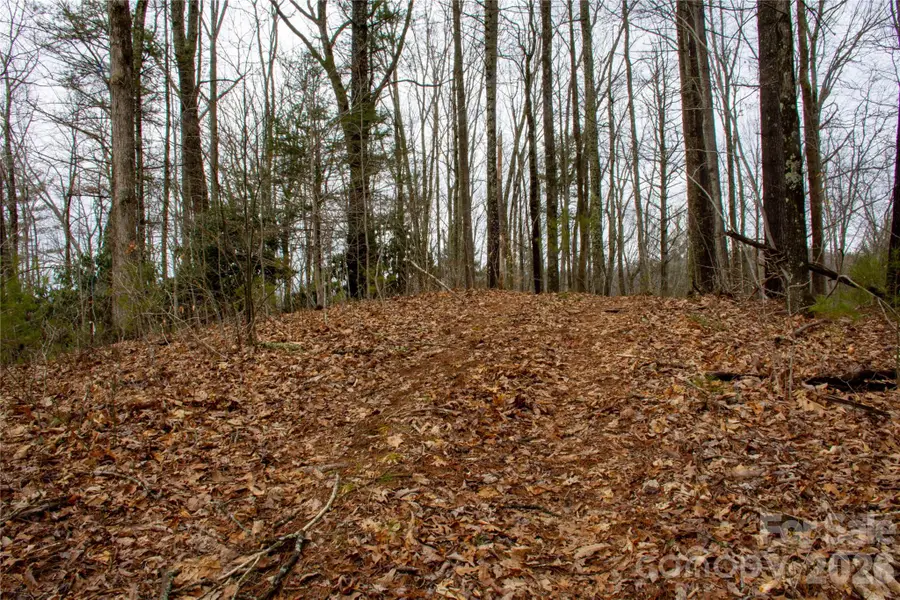 0 Ashland Mountain Road, Bakersville, NC 28705 - #2