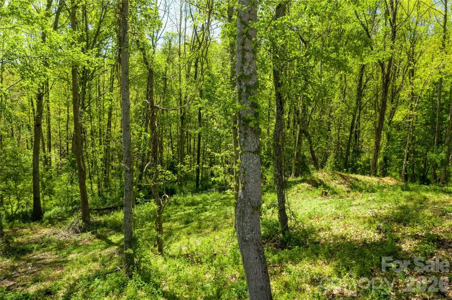 9999 Bee Balm Way #55, Asheville, NC 28804 - #2