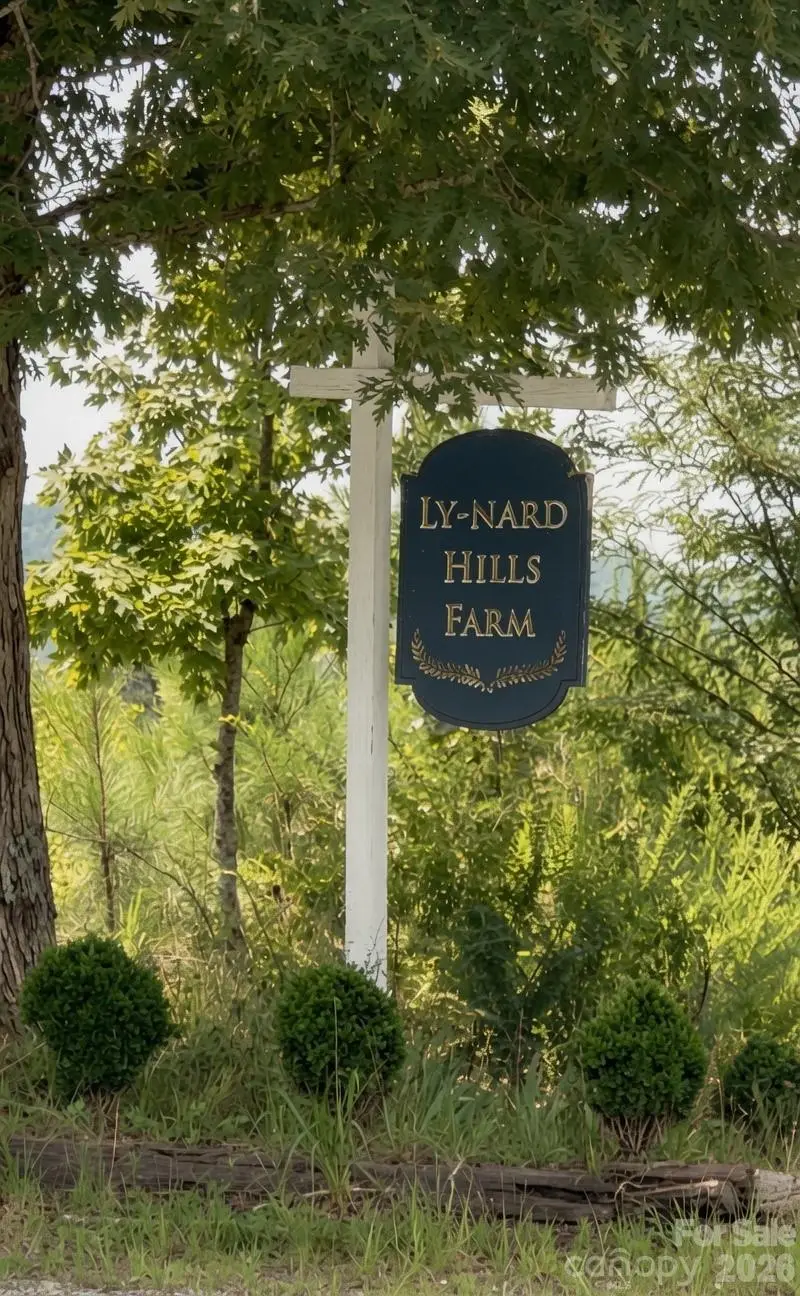 350 Vick Russell Lane, Columbus, NC 28722 - #3