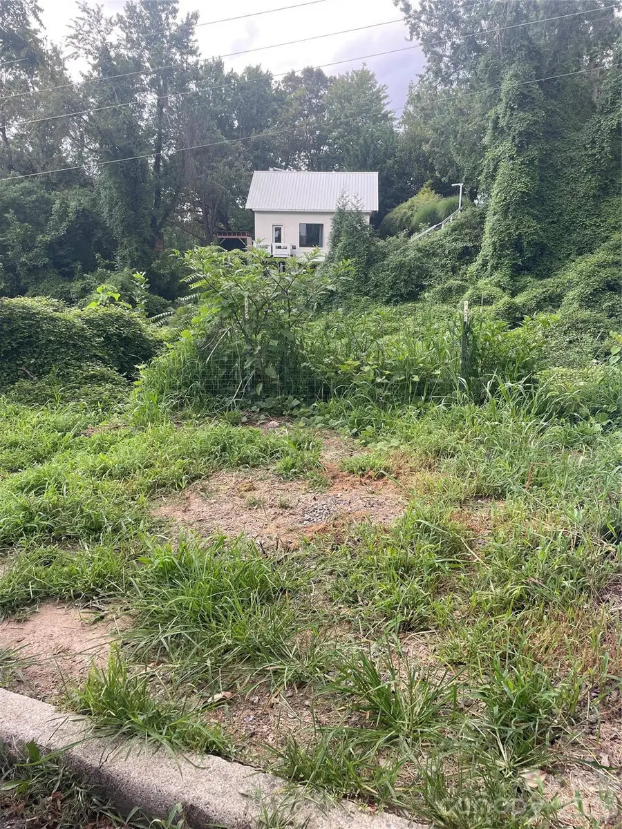 429 W Haywood Street, Asheville, NC 28801 - #2