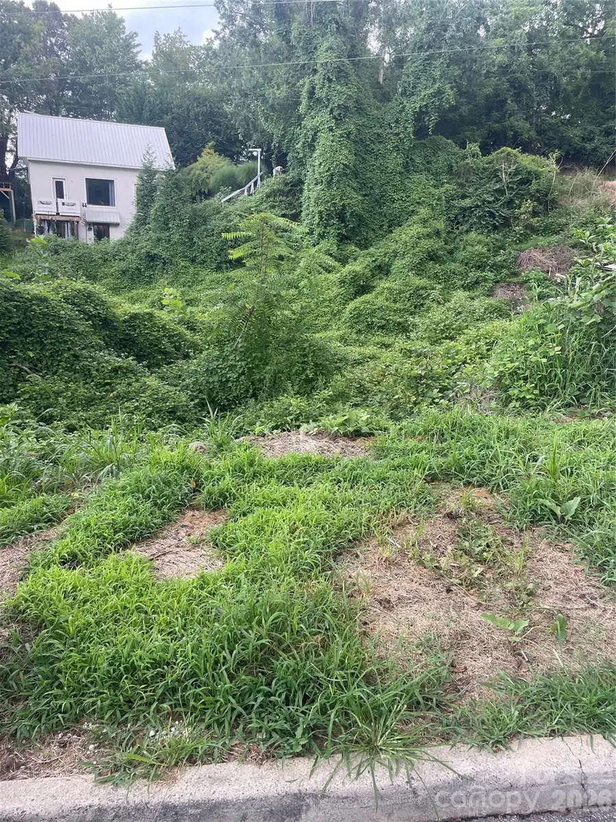 429 W Haywood Street, Asheville, NC 28801 - #3