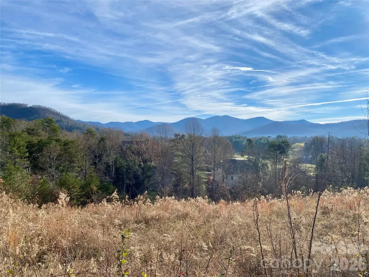 73 Union Chapel Road, Weaverville, NC 28787 - #1