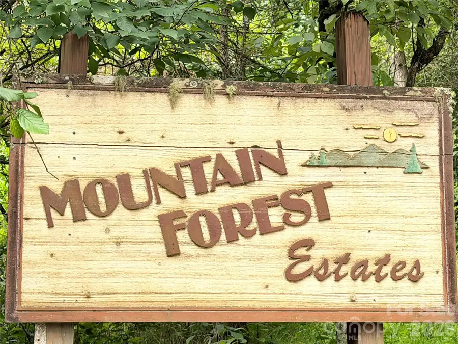 477 Mountain Forest Estate, Sylva, NC 28779 - #2
