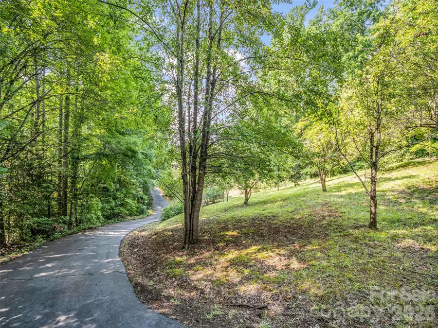 238 Howell Road, Lake Lure, NC 28746 - #3