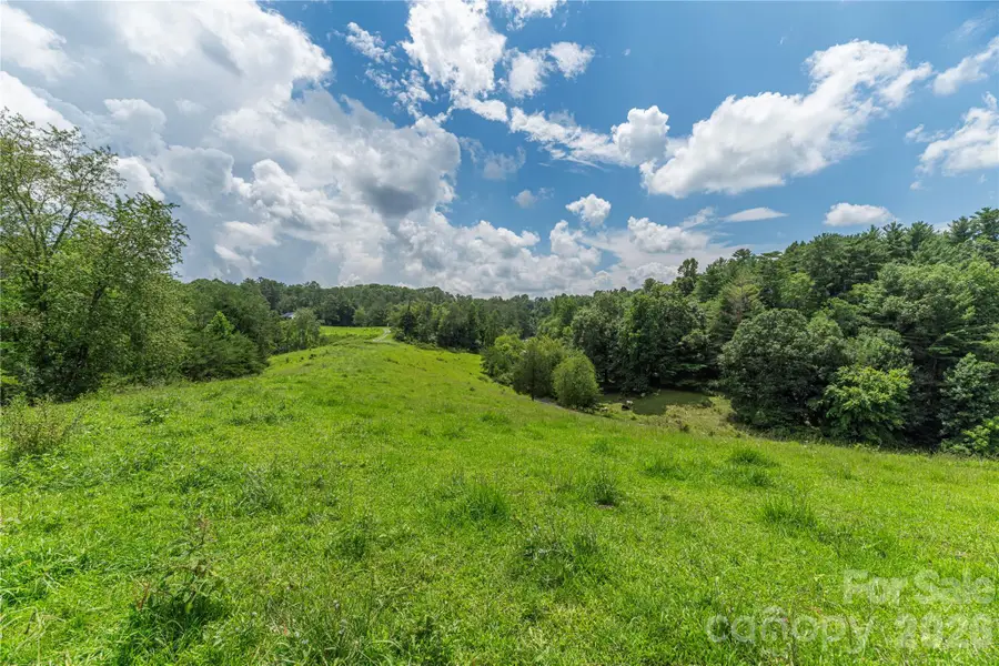 99999 Little Bo Lane, Leicester, NC 28748 - #2