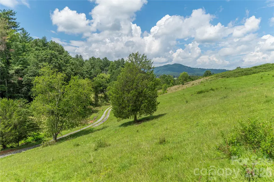 99999 Little Bo Lane, Leicester, NC 28748 - #3