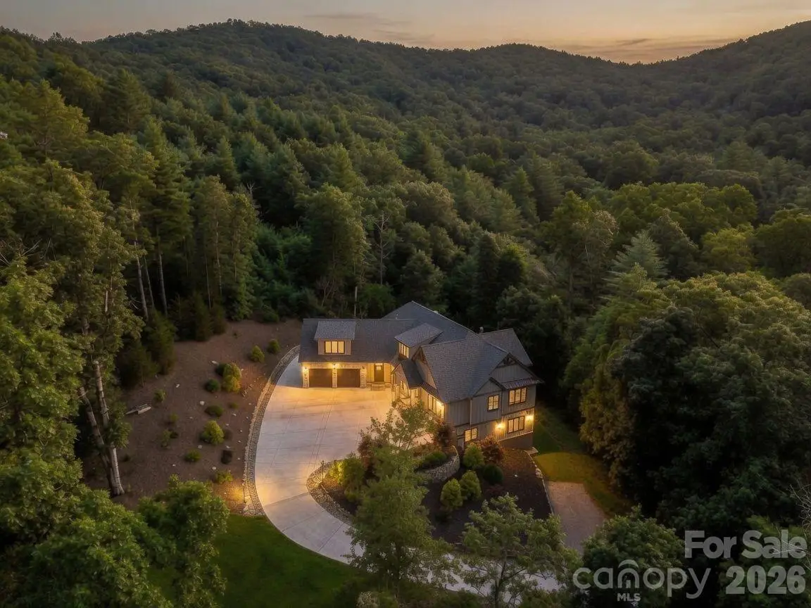 8 Lakeview Drive, Fairview, NC 28730 - #1